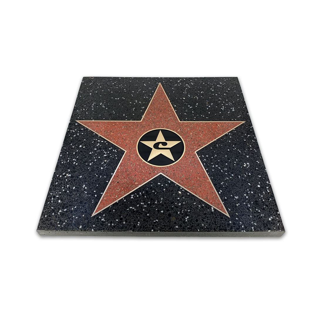 LE Walk of Fame Stern Logo