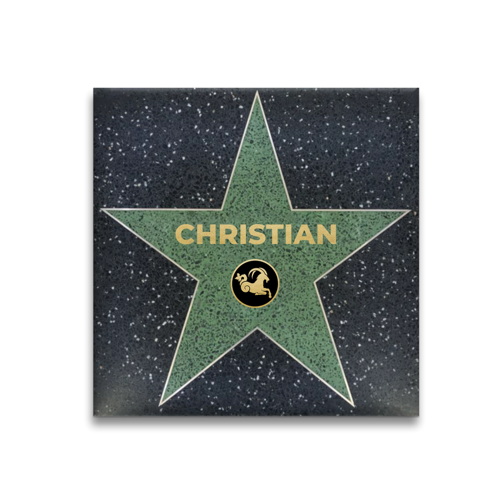 Walk Of Fame Sterne Liste LE Walk of Fame Stern Sternzeichen
